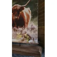 Canvas Hooglander met statief.