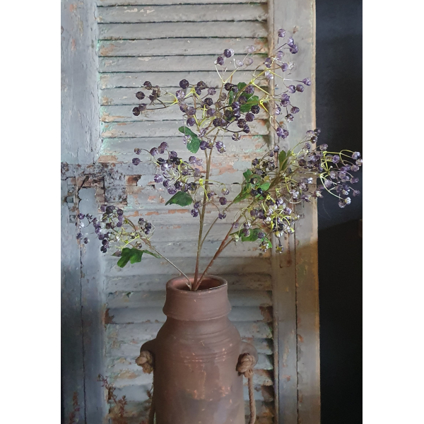 Brynxz Tak kleine bloemknoppen