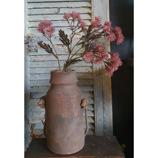 Tak Centaurea pink M