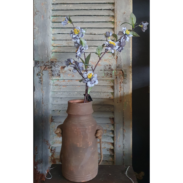 Tak blauw/paarse bloemen