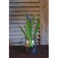 Kunstbloemen blauwe druifjes