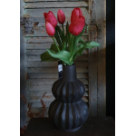 Countryfield tulpen fuchia