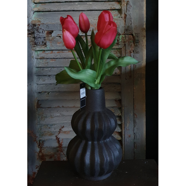 Countryfield tulpen fuchia