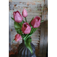 Countryfield tulpen paars