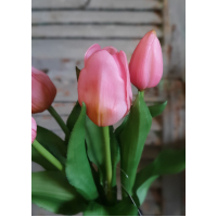 Countryfield tulpen roze