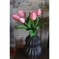 Countryfield tulpen roze