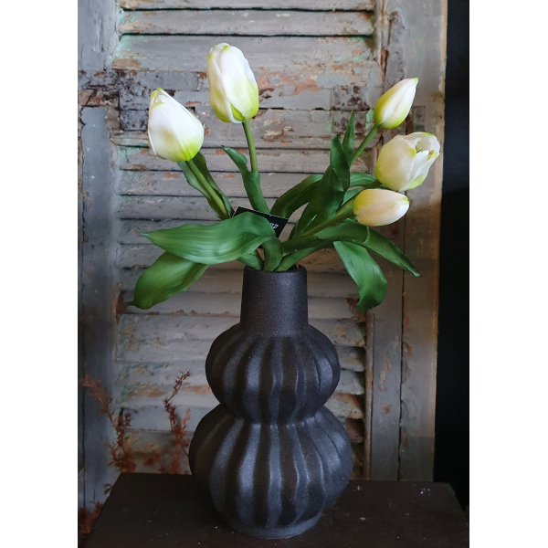 Countryfield tulpen wit