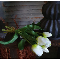 Countryfield tulpen wit