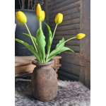 Bos gele tulpen