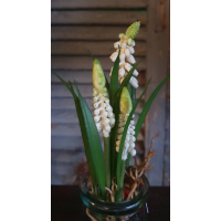 Kunstbloemen druifjes wit