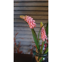 Kunstbloemen, roze druifjes