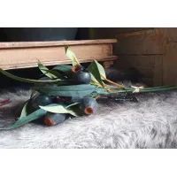 Countryfield Kunsttakken Olea europaea Olijf