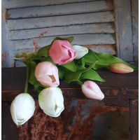 Tulpen 7 stuks roze/wit
