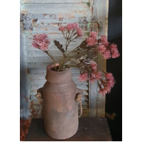 Tak Centaurea pink M