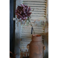 Tak Dahlia Sibel paars