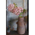 Tak hortensia pink