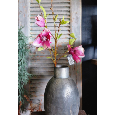 Tak magnolia roze