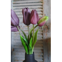 Bos lange tulpen paars