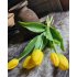 Bos gele tulpen