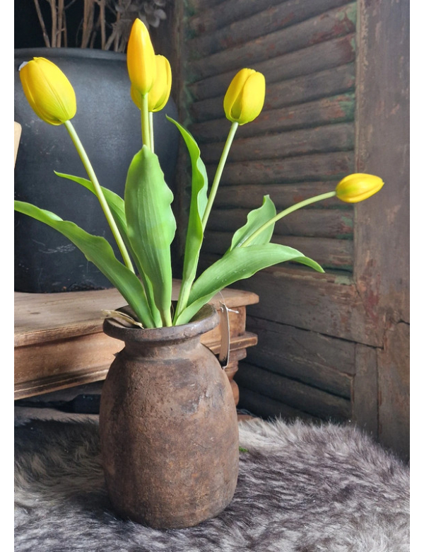 Bos gele tulpen